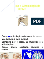 Biomecânica-Ombro-UFLA-Cópia.pdf