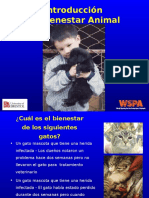 Bienestar.ppt