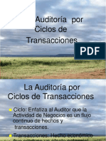 Auditoria Ciclos de Transacciones