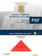 Elementos teóricos mercados de trabajo y trayectorias laborales TETRA Puebla