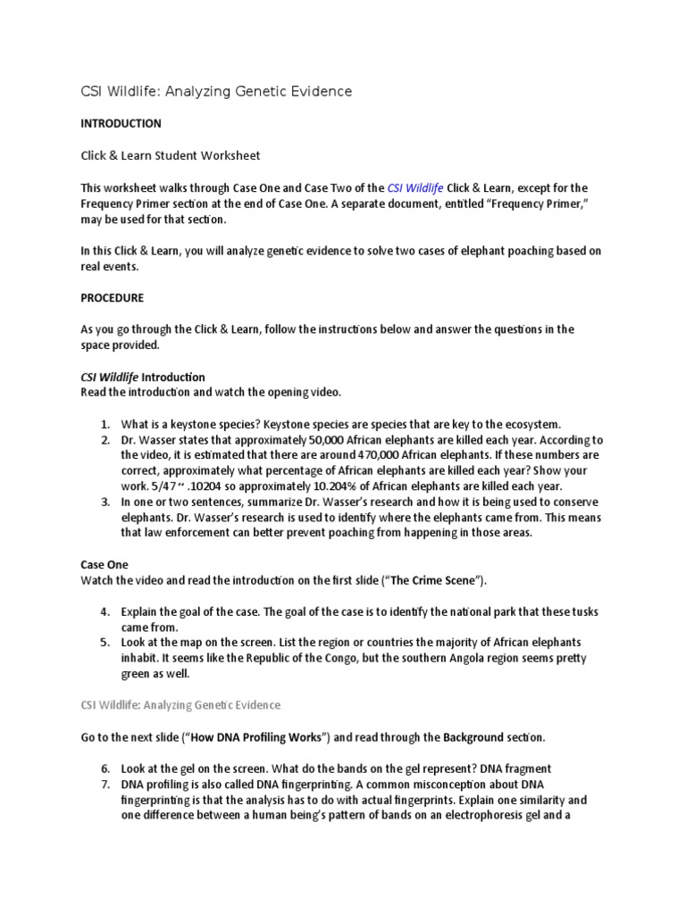 csiwildlife-studentws1-anskey-pdf-dna-profiling-gel-electrophoresis