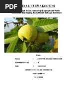 Download Jurnal Farmakognosi Gigih PDF by adhitya_ramadhan_1 SN45309537 doc pdf