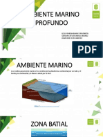 D. Ambiente Marino Profundo Expo PDF