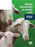 Manejo Reproductivo en Ganado Ovino PDF