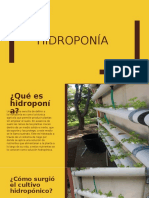 Hidroponia.proyecto 