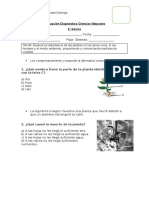 Evaluación Diagnóstico Ciencias Naturales 4°