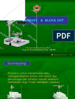 Survey - Block Out B8