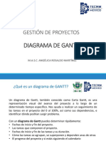 Diagrama de GANTT y Matriz RACI