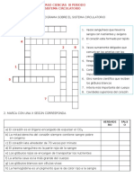 Repaso Ciencias Sist Circular 3P