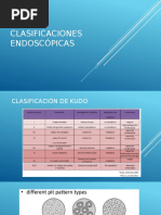 Clasificacion de Johnson | PDF | Cocina, comidas y vino | Salud y bienestar