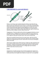 Download Alga Kristal Jepang by Agung Budi Santoso SN45311503 doc pdf