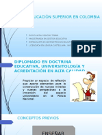 Diplomado Educación Superior en Colombia