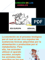 excrecion-111114133220-phpapp01