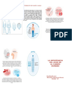 Triptico LA IMPORTANCIA DEL AGUA EN