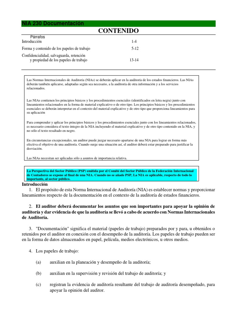 1.5 NIA 230 Documentación Y 240 Fraude y Error | PDF | Auditoría ...