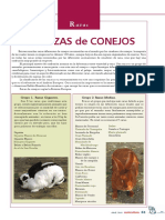 5401-razas-las-razas-de-conejos.pdf