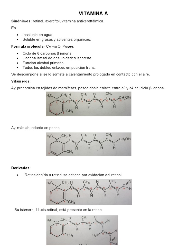 Vitamina A Pdf Vitamina A Receptor Bioquímica