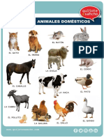 Láminas-para-trabajar-el-vocabulario-campo-semántico-animales-domesticos.pdf