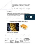 COMERCIO EXTERIOR.docx