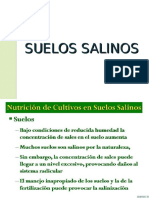 CL 7 Suelos Salinos