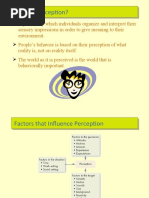 Perception.ppt