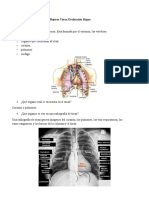 Repaso Tórax 