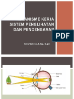 Mekanisme Sistem Penglihatan Dan Pendengaran