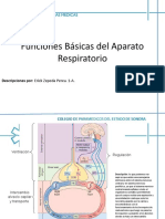 Funciones Básicas Del Aparato Respiratorio Erick Zepeda Perea 1-A