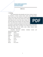 Handout Serealia PDF