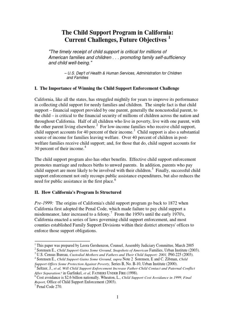 California Child Support Program Overview | PDF | Child Support | Welfare
