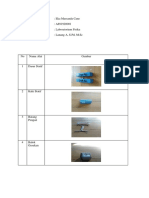 Lab 1 Cane PDF
