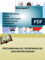 Idk 2 KLP 7