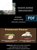 Bisnis raissya