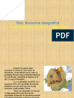 Bucovina Geografica