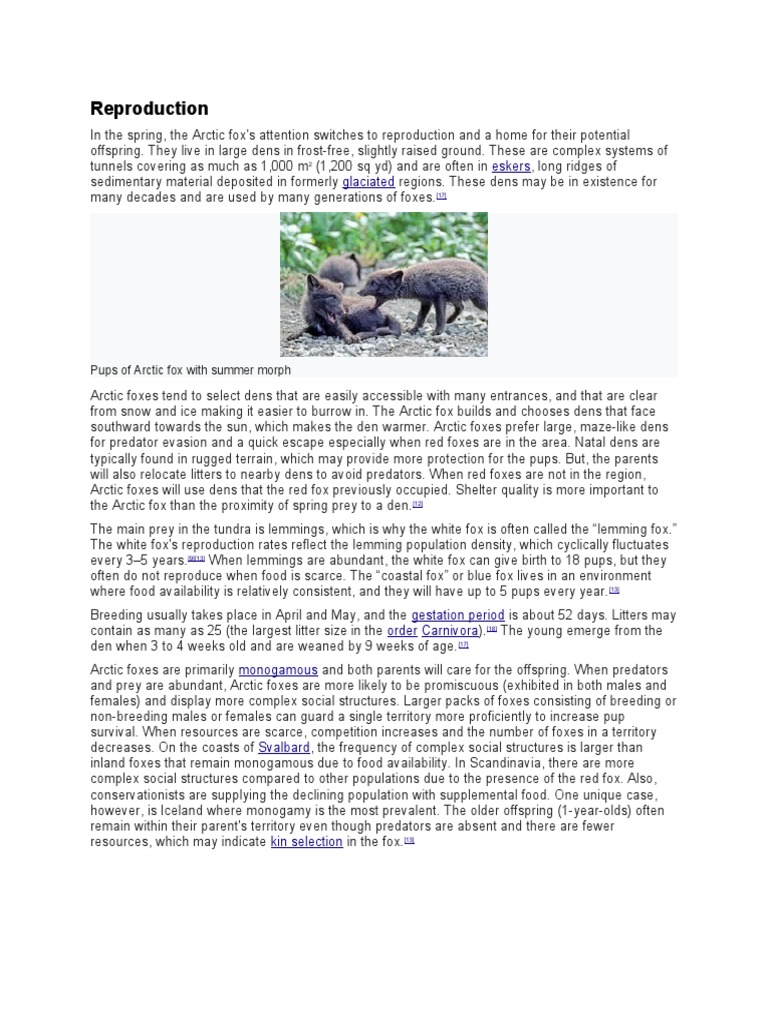 Arctic Fox Reproduction | PDF | Organisms | Nature