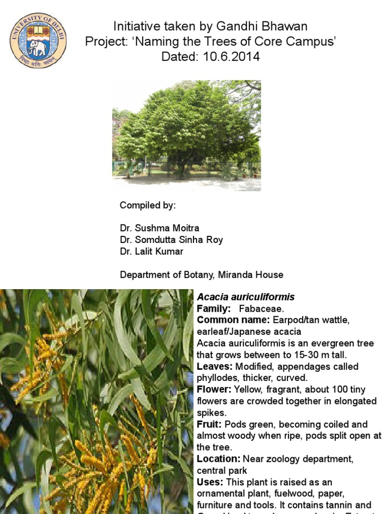 Trees of University of Delhi: A Study | PDF | Trees | Plant Life Form
