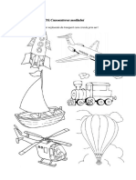 Fisa DS Cunoast Med. AERIENE 2013 VICA