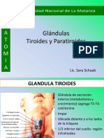 CL 11 Tiroides Paratiroides