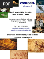 Aula - planos corporais