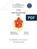 Wireless Area Network OSPF PDF