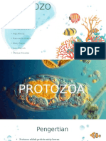 Bio Protozzoa