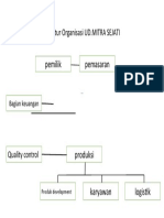 Stuktur Perusahaan Ud Mitra Sejati