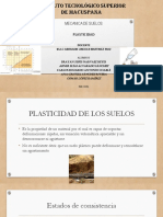 Unidad 4 Plasticidad