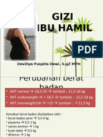 Gizi Ibu Hamil