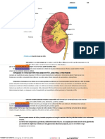 Gross Anatomia 6