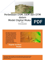 Perbedaan DSM DTM Dan DEM