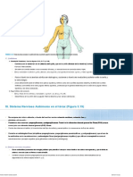 Gross Anatomia 3