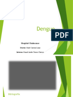 dengue-170301062422