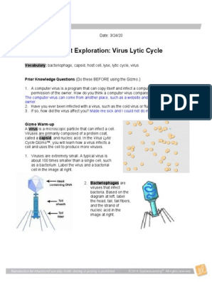 Virus Liptic Cycle Gizmo Answers Virus Bacteriophage