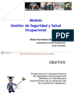 Presentacion Jun 4 Diplo Hseq Sena PDF